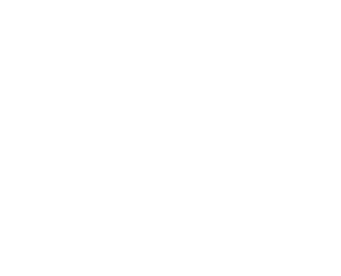 Emergy AI